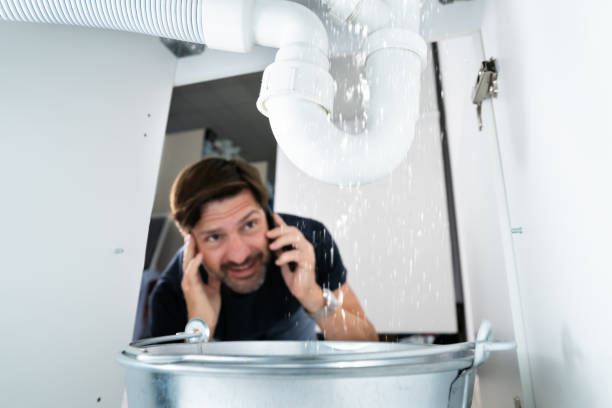Best Leak Detection Services  in Fort Sumner, NM